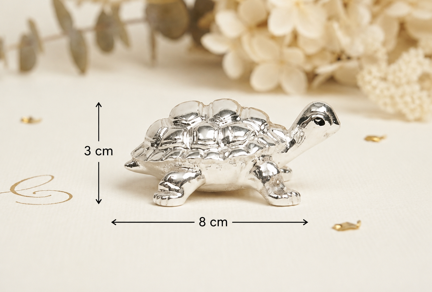 Glossy Turtle